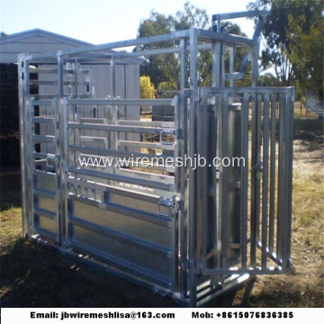 Heavy Duty Hot Dipped Galvanized Cattle Crush